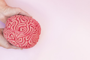 Vista aerea mano que sostiene modelo rosado cerebro contra contexto coloreado 23 2148050515